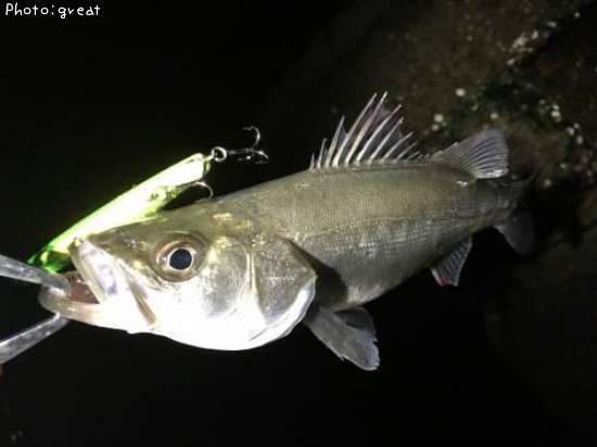 �����Х�