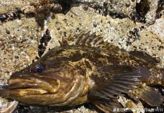 �٥å�������