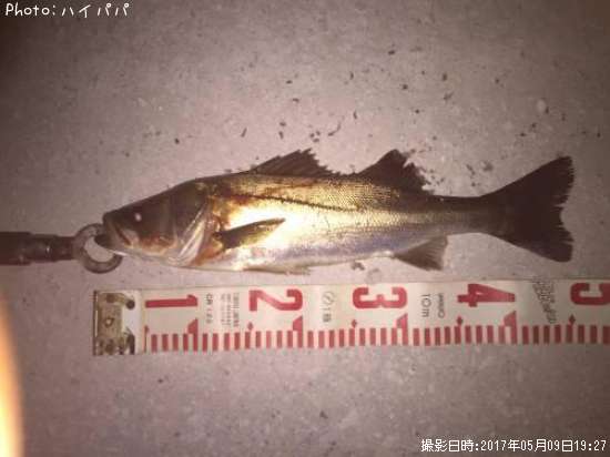 �����Х�