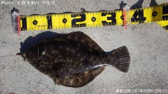 �ޥ����쥤