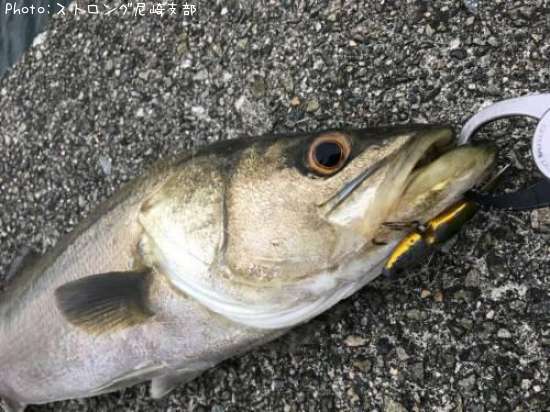 �����Х�