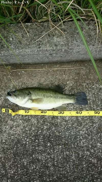 �֥�å��Х�