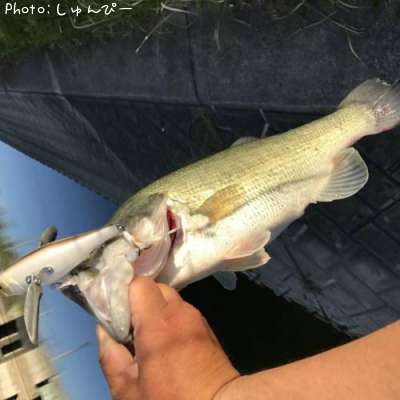 �֥�å��Х�