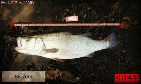 �ҥ饹����