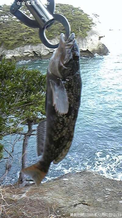 �����ʥ�