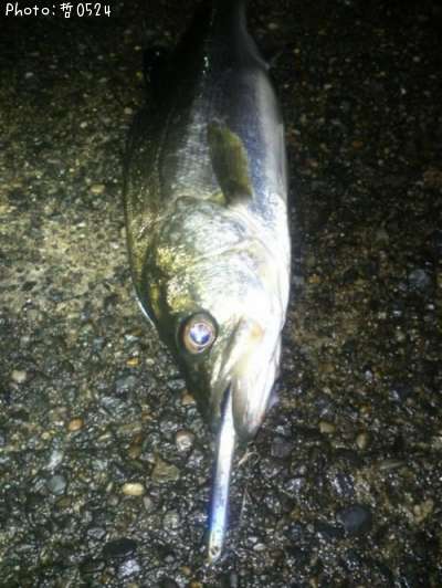 �����Х�