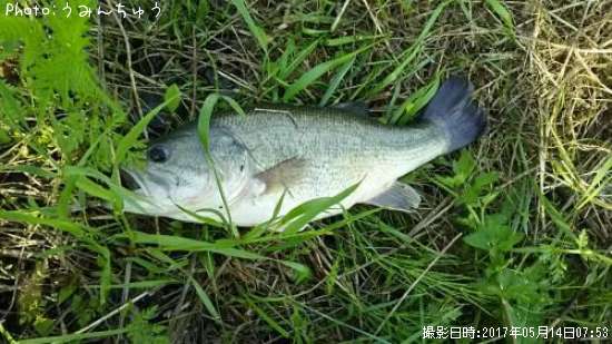 �֥�å��Х�