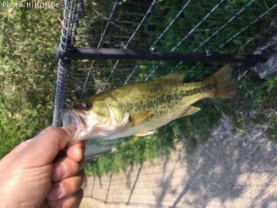 �֥�å��Х�