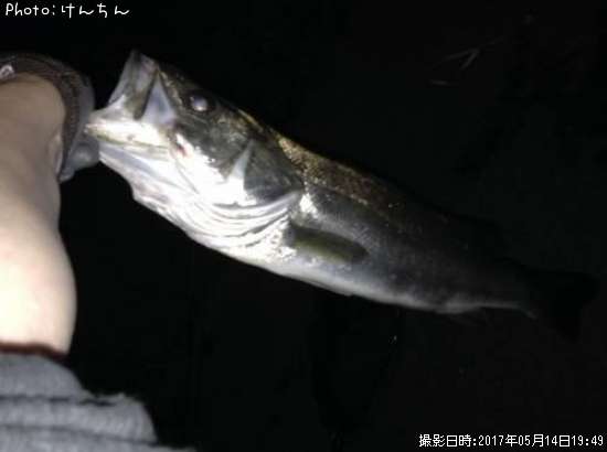 �����Х�