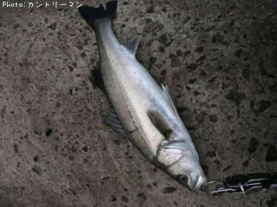 �����Х�