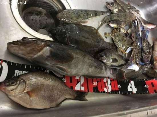 �����ʥᡡ¾