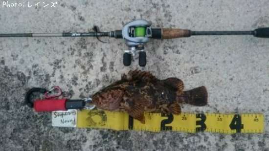 �����Υ���Х�