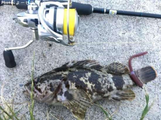 �����Υ�