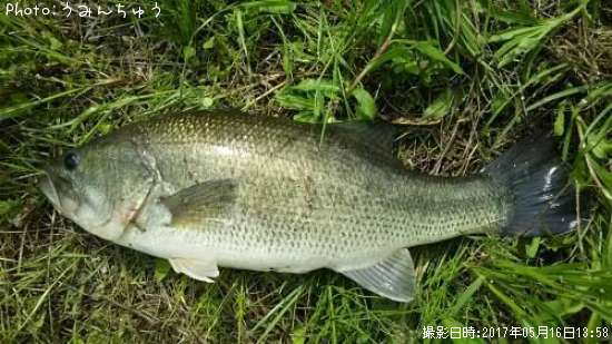 �֥�å��Х�