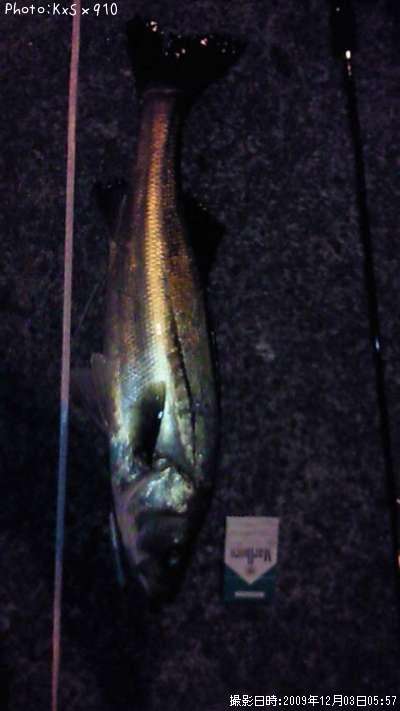 �����Х�