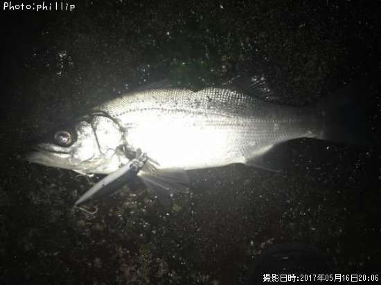 �ҥ饻����