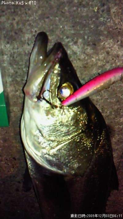 �����Х�