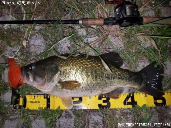 �֥�å��Х�