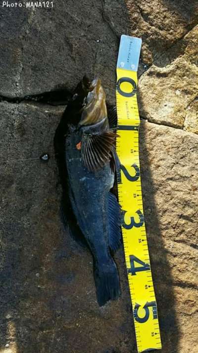 �����ʥ�