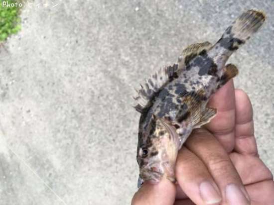 �����Υ���Х�