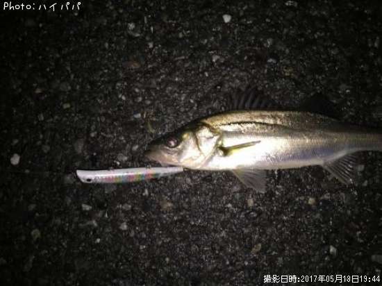 �����Х�