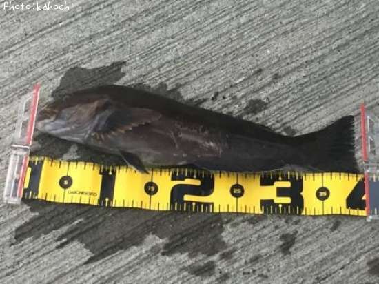 �����ʥ�