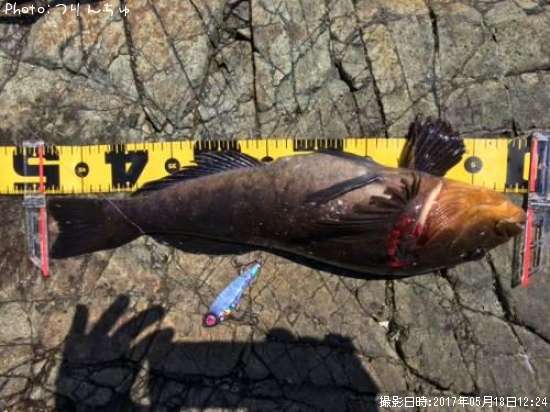 �����ʥ�