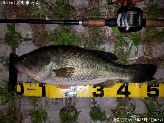 �֥�å��Х�