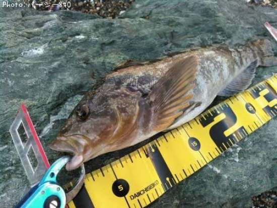 �����ʥ�