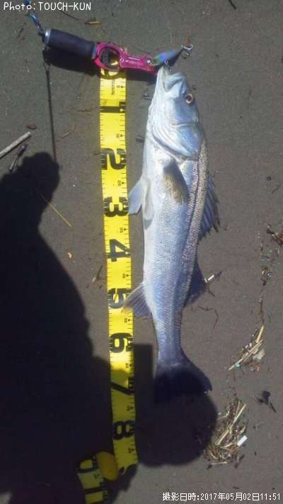 �����Х�