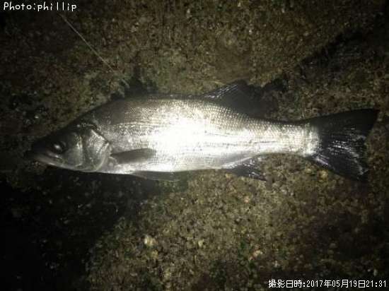 �ҥ饻����