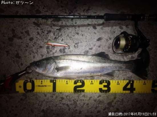 �����Х�