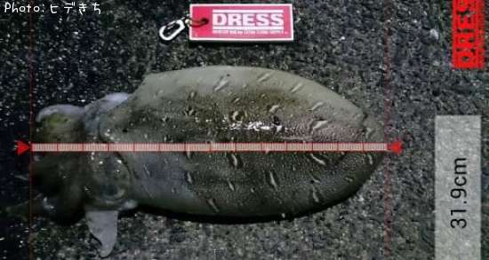 ��󥴥�����