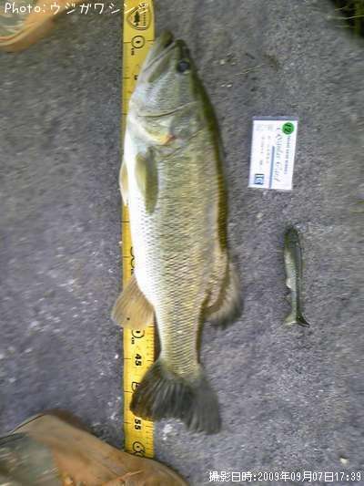 �֥�å��Х�