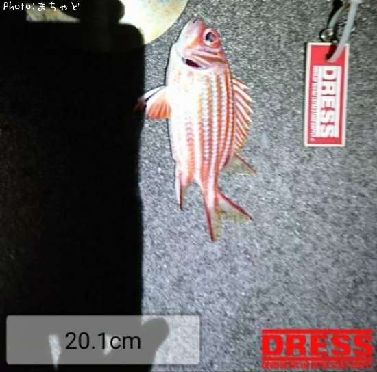 ��������ڥ���ᥨ�ӥ���