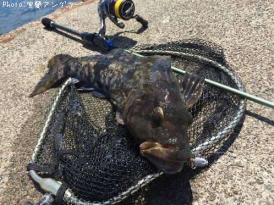 �����ʥ�