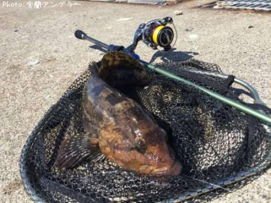 �����ʥ�