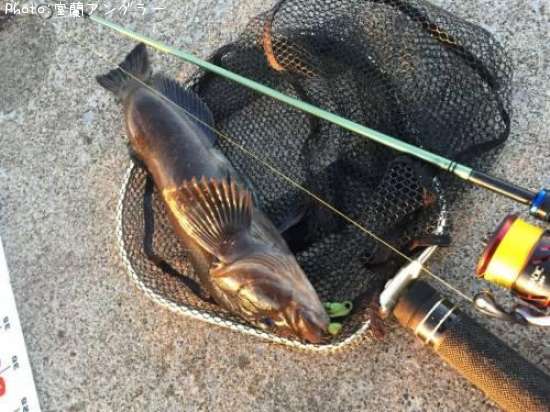 �����ʥ�