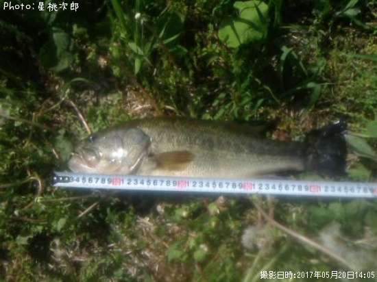 �֥�å��Х�