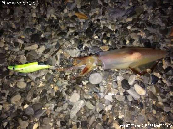 ��ꥤ���ʡ���