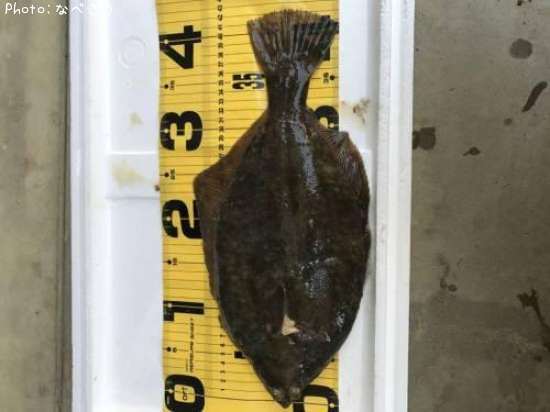 �ޥ����쥤