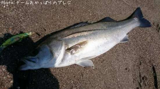 �����Х�