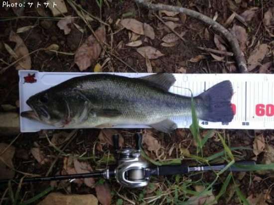 �֥�å��Х�