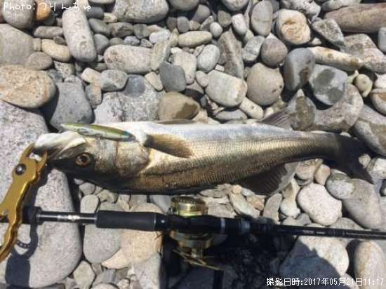 �����Х�