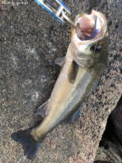 �����Х�