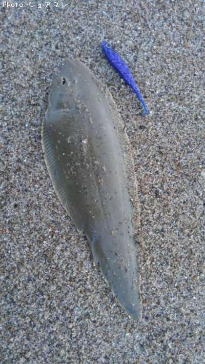��ʿ��