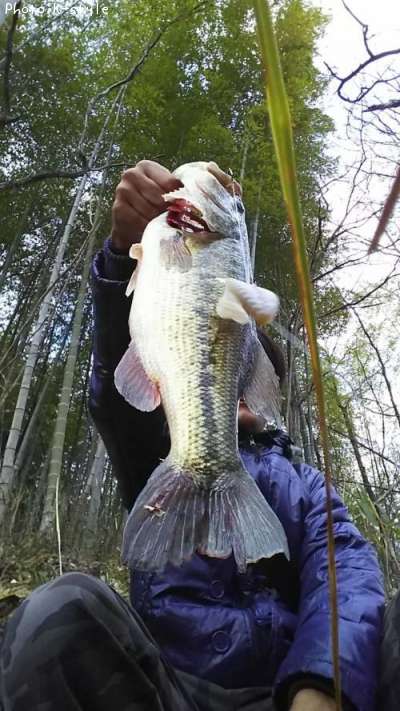 �֥�å��Х�