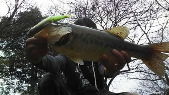 �֥�å��Х�