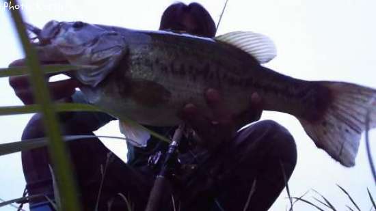 �֥�å��Х�