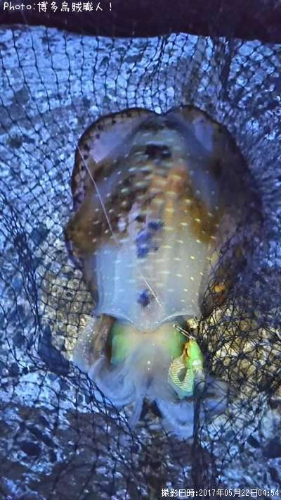 �����ꥤ��